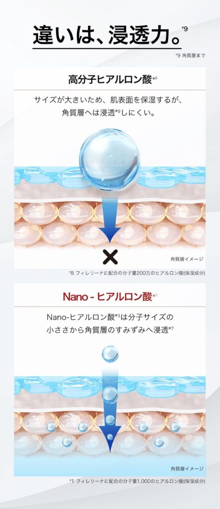 Nano-ヒアルロン酸が肌の角質に浸透するイメージ